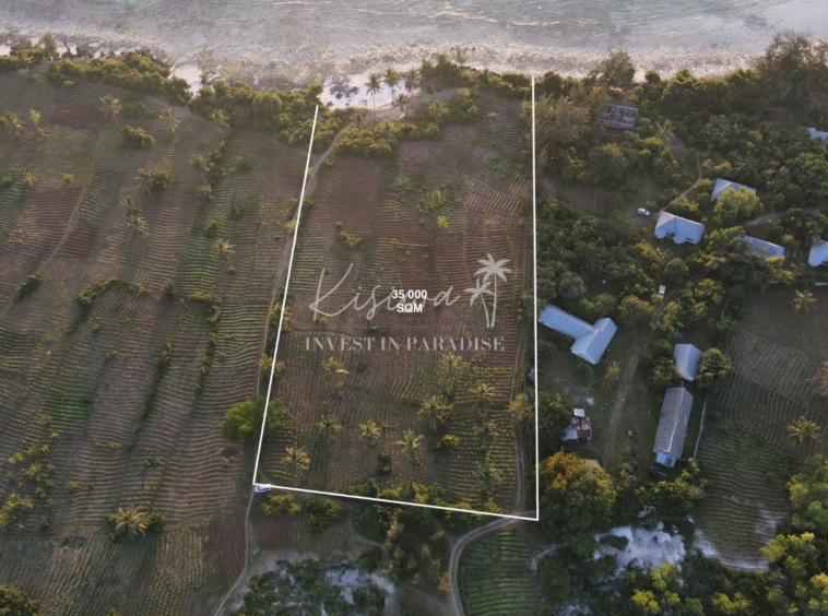 Buy Land Zanzibar PEMBA MAKANGALE 35000 SQM