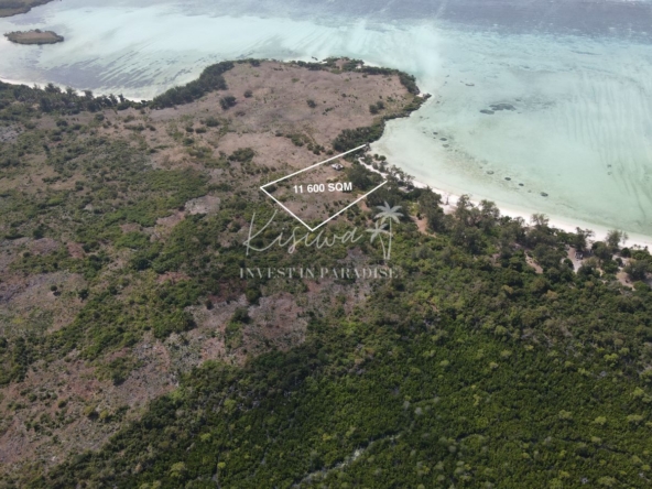 Invest Land Zanzibar Pemba Chamiani 11 600SQM