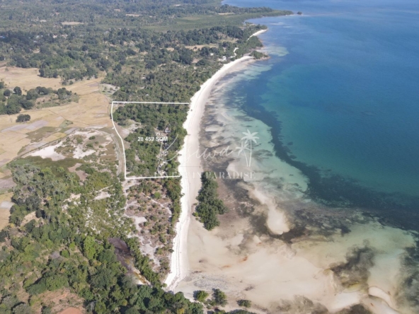 Invest Land Zanzibar Pemba Wambaa 28 453SQM