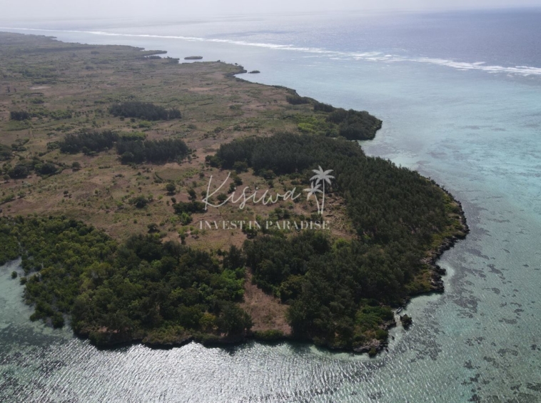 Invest Plot Zanzibar PEMBA MWAMBEE 10 400SQM