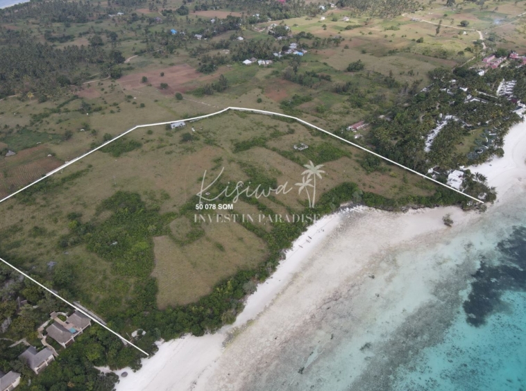 Invest Plot Zanzibar Pemba Makangale 50 078SQM