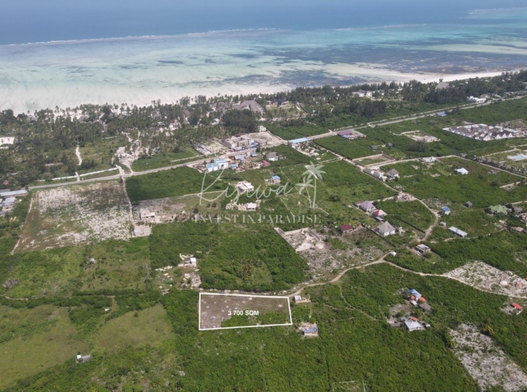 Invest plot Zanzibar Paje 3 700 m2