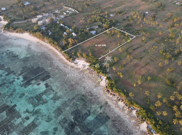 Plot For Sale Zanzibar PEMBA MAKANGALE 35000 SQM