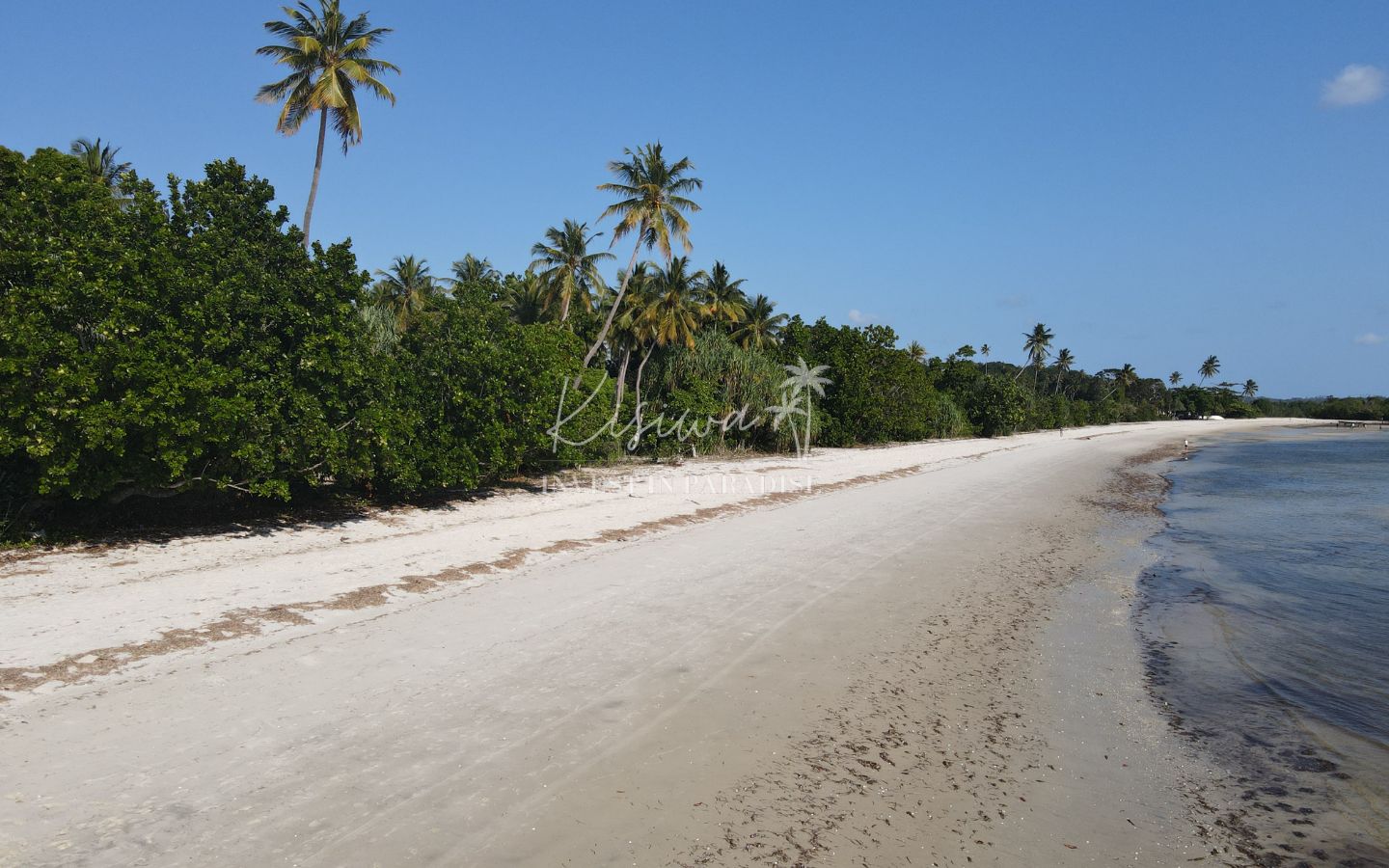 Plot for sale Zanzibar Pemba Wambaa 29 927SQM