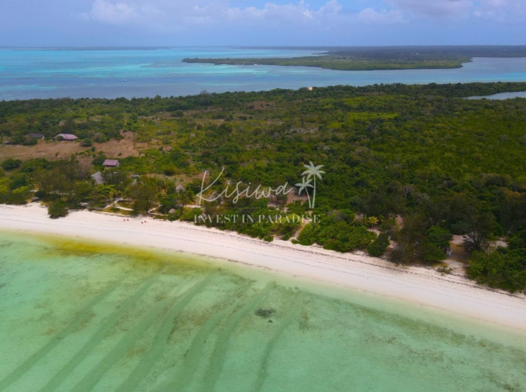 invest plot zanzibar PEMBA CHAMBANI 22 500SQM