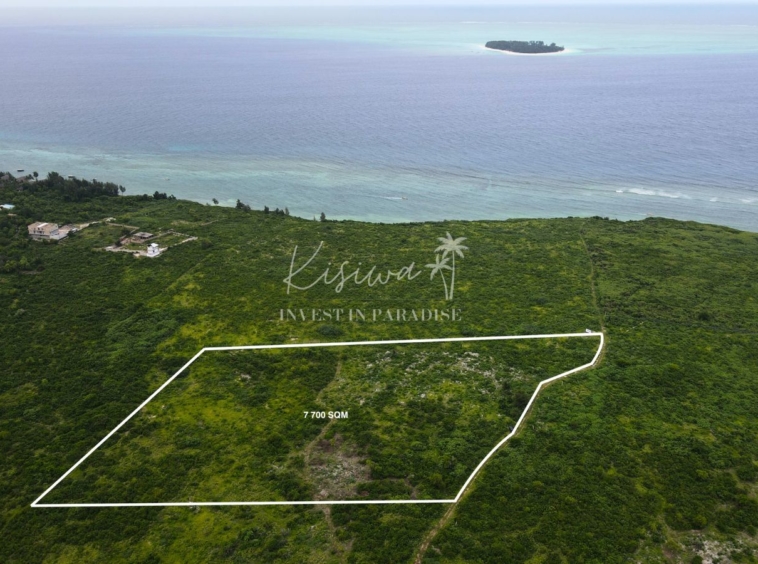 Land For Sale Zanzibar Matemwe 7 700SQM