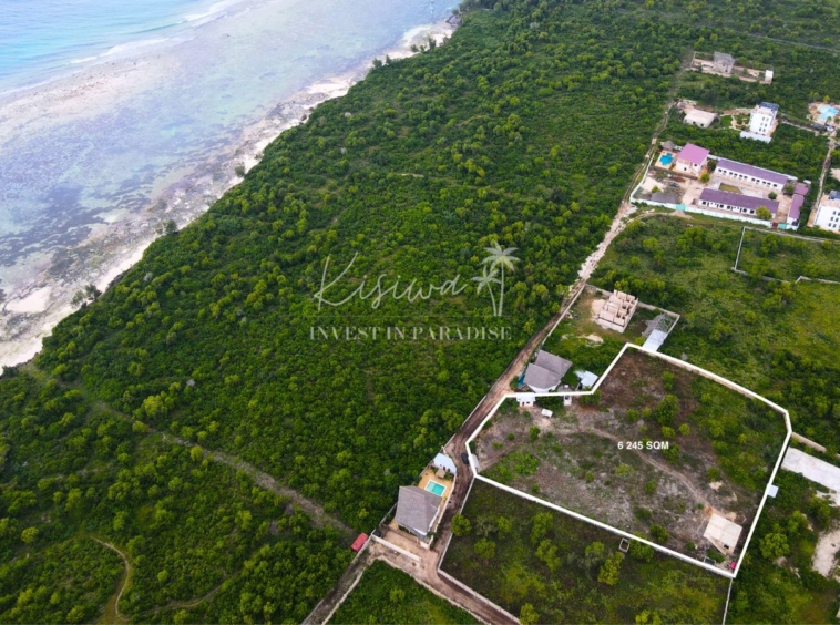 Buy Land Zanzibar Matemwe 6 245 SQM