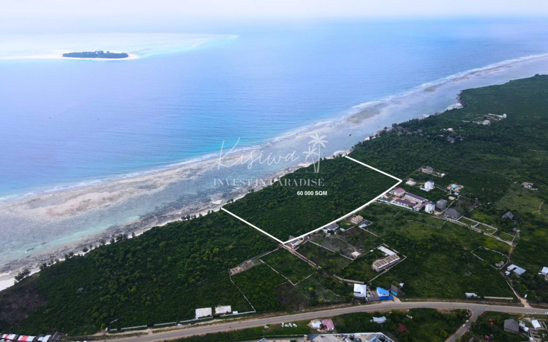 Invest Land Zanzibar Matemwe 60 000 SQM