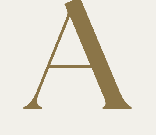 Real Estate Zanzibar Favicon