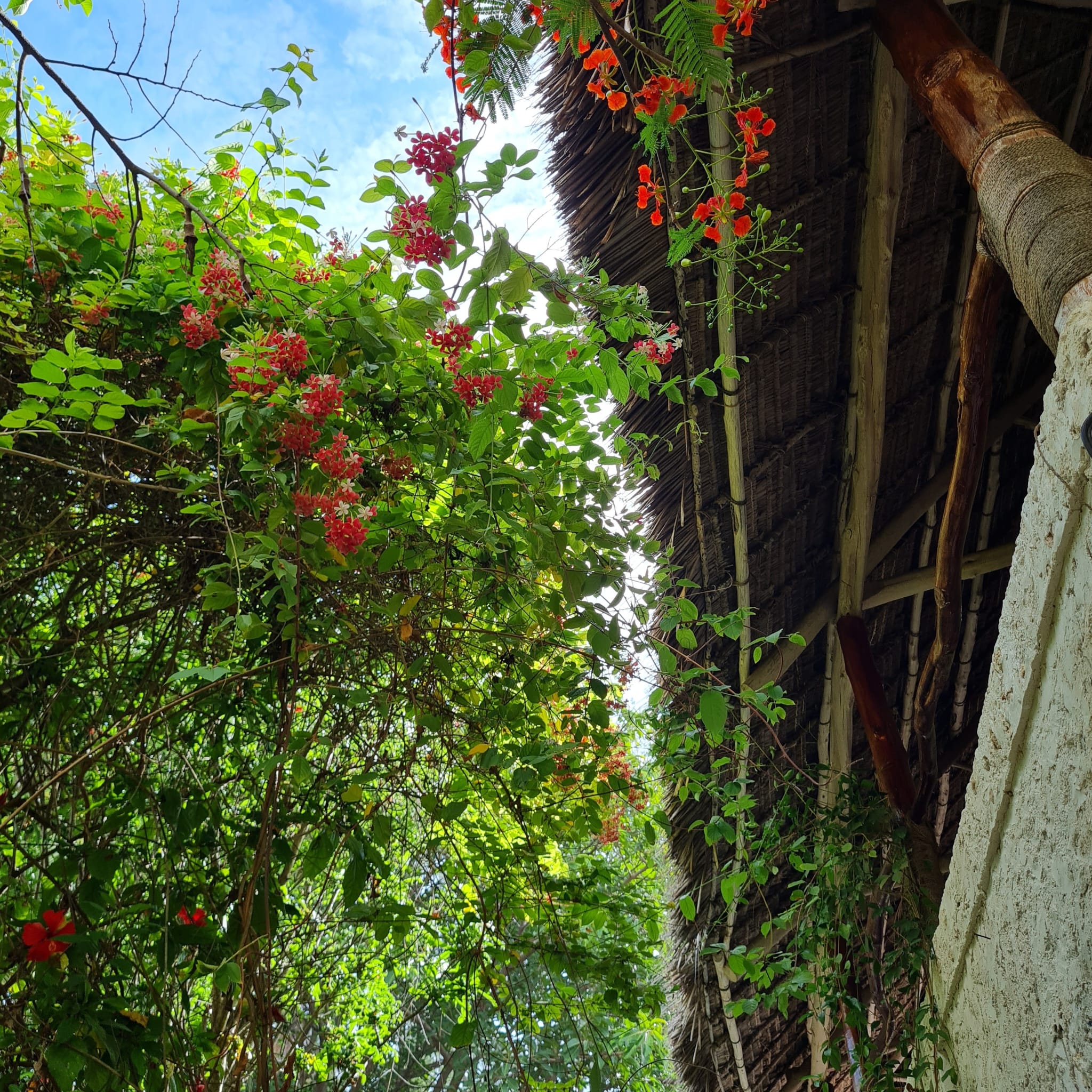 Villa for sale jambiani Zanzibar 2