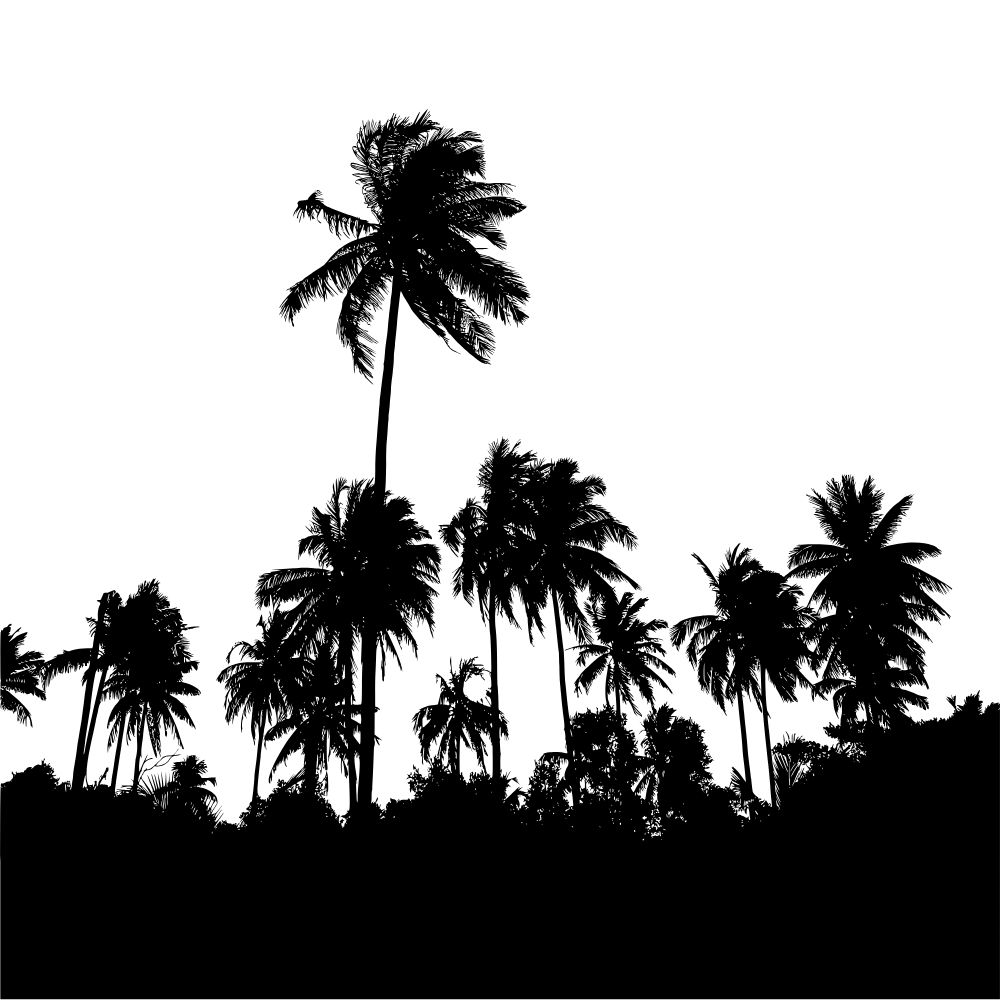 Land For Sale Zanzibar