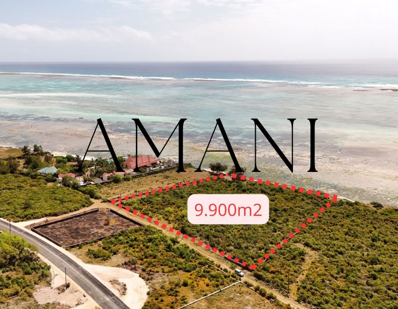 Land for sale zanzibar Jambiani 9 900 M2