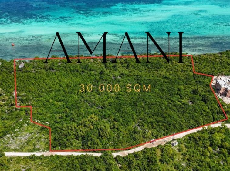 Land for sale zanzibar Kizimkazi 30 000 M2