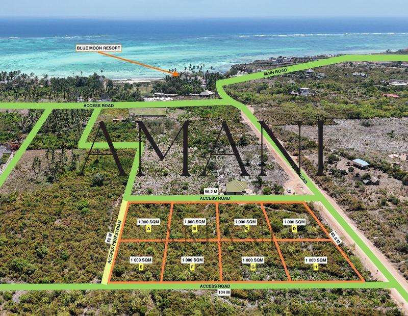 Jambiani South Real Estate Promotion - 1000 m² plots