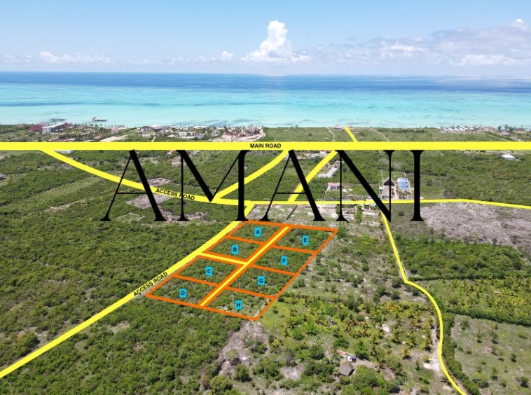 8-plots-for-sale-jambiani-zanzibar-1300sqm