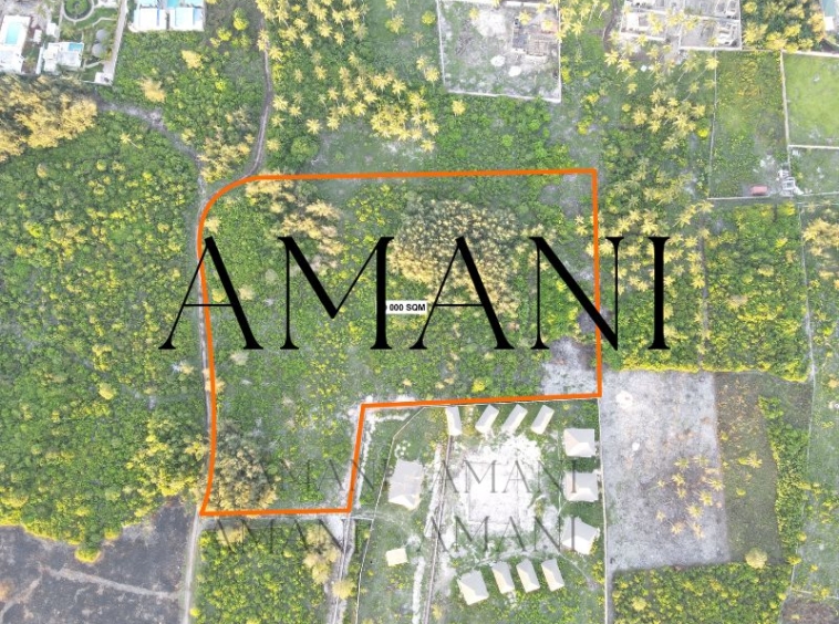 land-for-sale-20 000sqm-jambiani-zanzibar