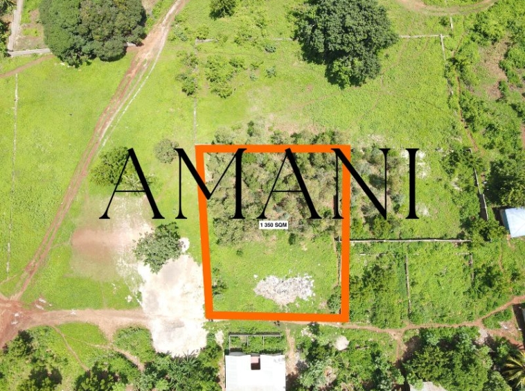 1350sqm-kidoti-land-for-sale-zanzibar